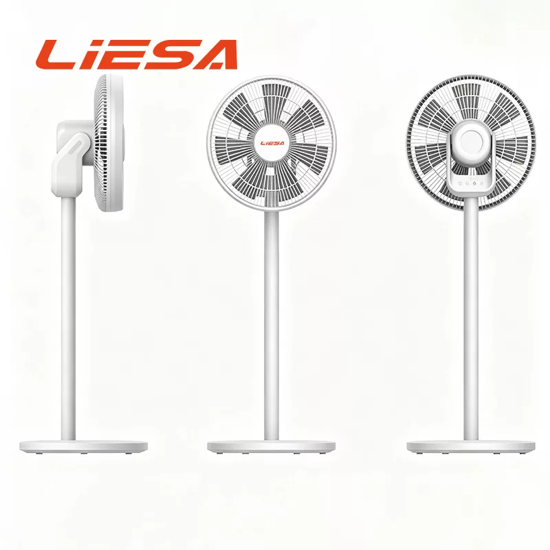Fan Circulation Oscilating